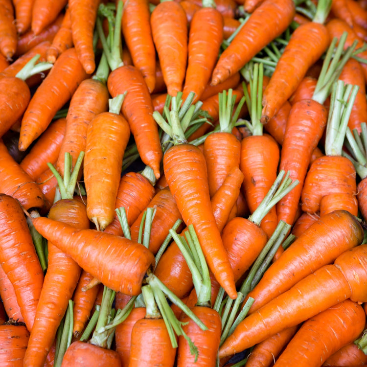 Carrots