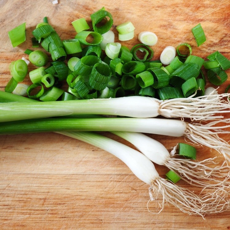 Green Onion 48CT